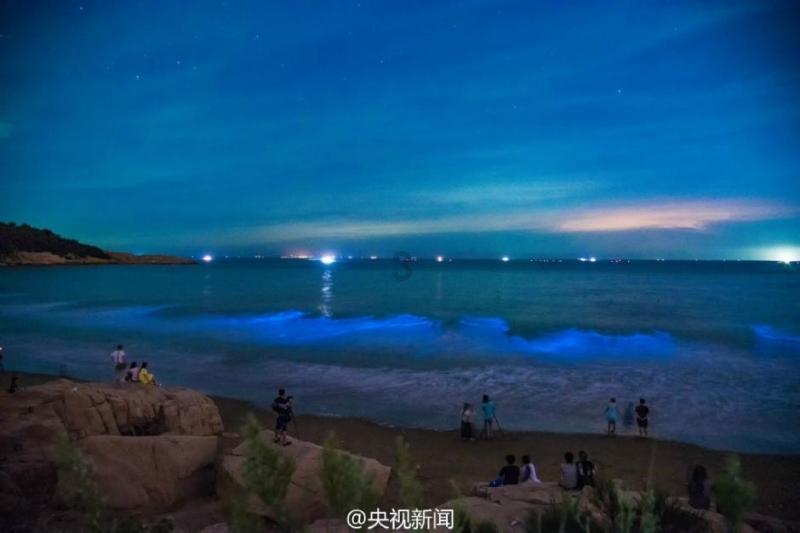 3200到800万！费尔蒂塔不养闲人，火箭酝酿由3至1的买卖