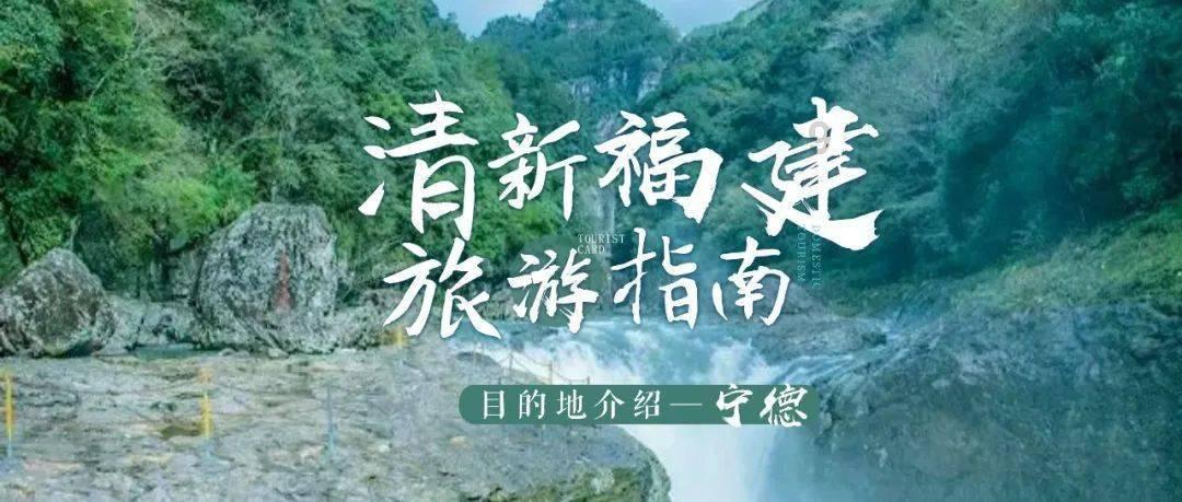 豆娃勇士