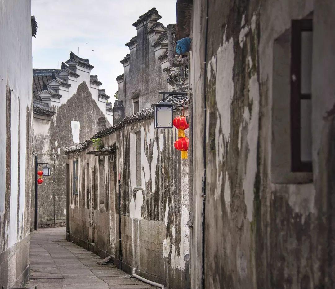 虫虫助手下载